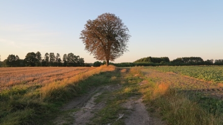 end-of-summer-2700879_640