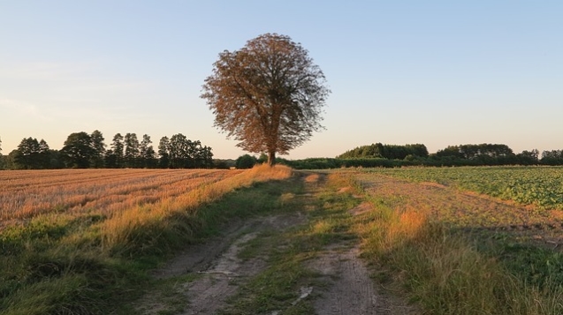 end-of-summer-2700879_640